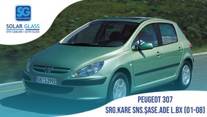 PEUG.307 01-08 SRG.KARE SNS.ŞASE.ADE L.B